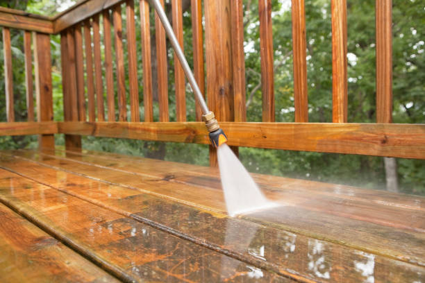 Animal Enclosure Cleaning in Quanah, TX